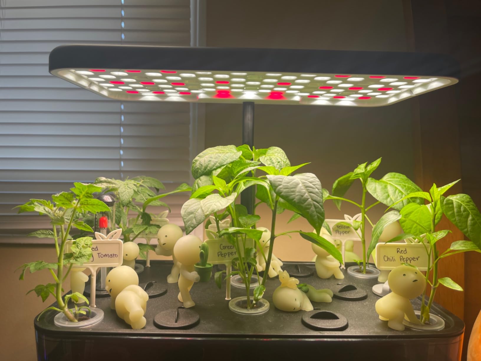 iDOO Hydroponics Growing System with 12 Pods Kit & LED Grow Light | Indoor Herb Garden with 5L Transparent Water Tank, Self Watering, Auto-Timer, Adjustable Heigh, Gifts for Women Men Fathers customer photo 2