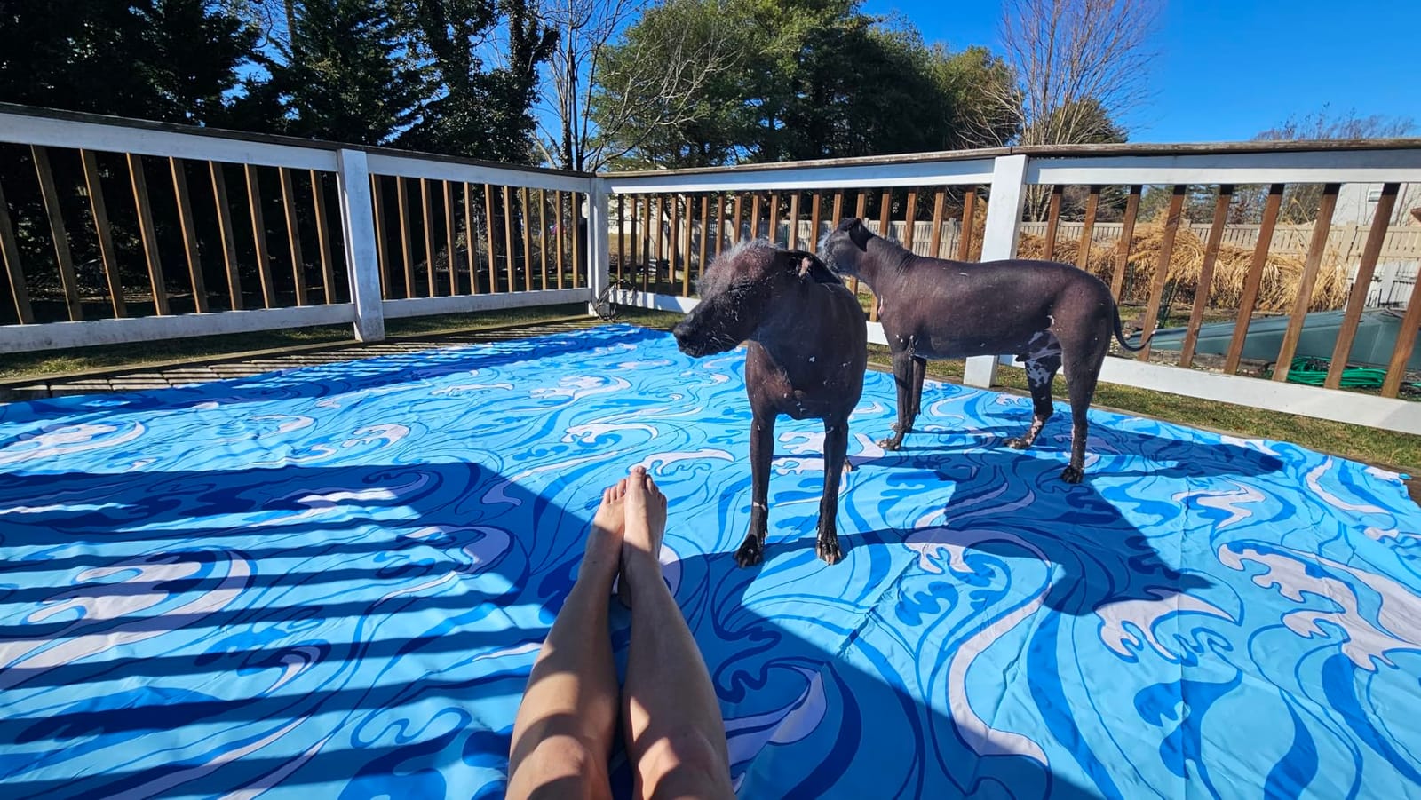 WEKAPO Beach Blanket Waterproof Sandproof Oversized Extra Large Sand Free | Beach Mat with Stakes, Storage Bag - Essentials for Outdoor Beach, Picnic (Sea Turtle, 8 X 7 FT (1~4 Person)) customer photo 1