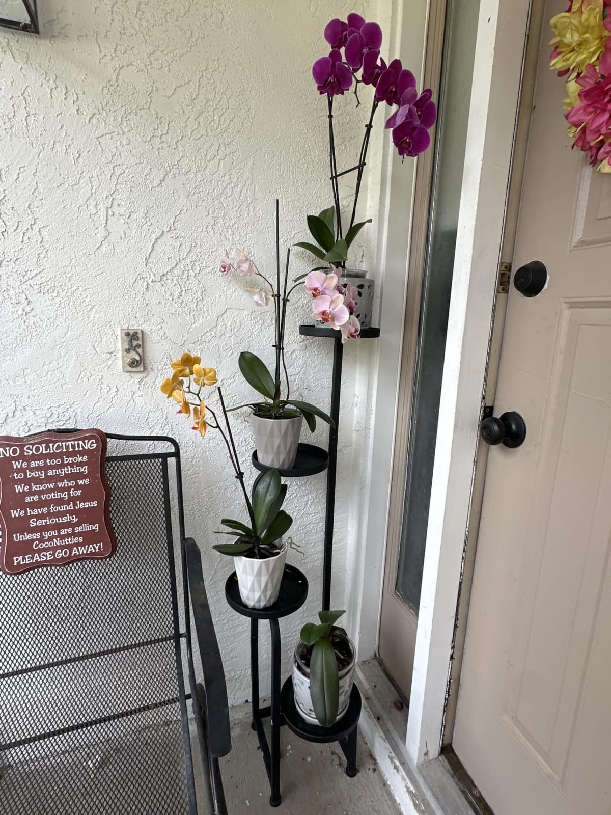 Bamworld Tall Plant Stand Indoor Outdoor Corner Metal Flower Pot Stands | 4 Tier Heavy Duty Plant Shelf for Multiple Plants Plant Table for Patio Garden Balcony Living Room Bedroom (Patent Design) customer photo 1