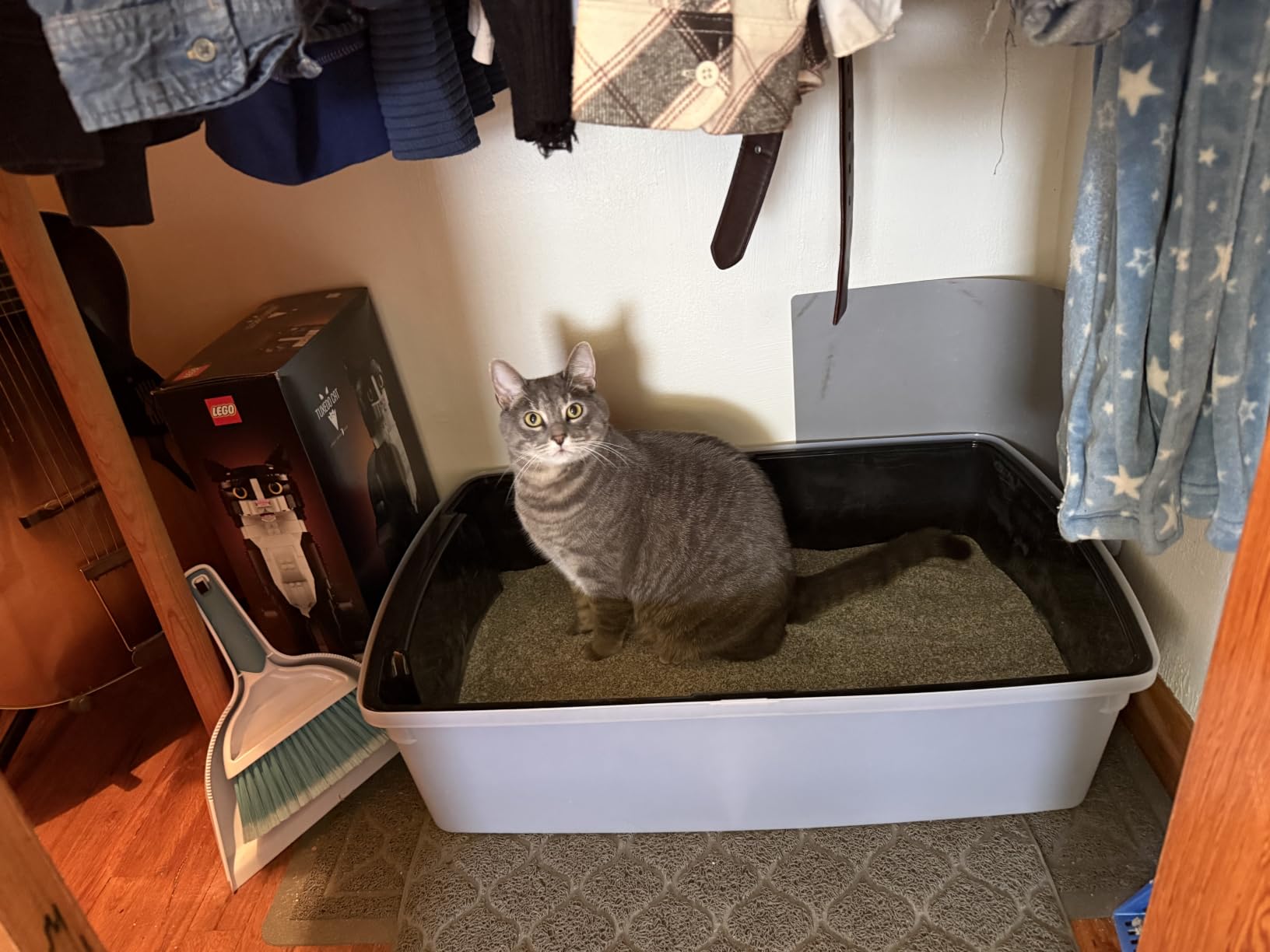 IRIS USA XX-Large High Sided Cat Litter Box, Scatter Shield, Black customer photo 1