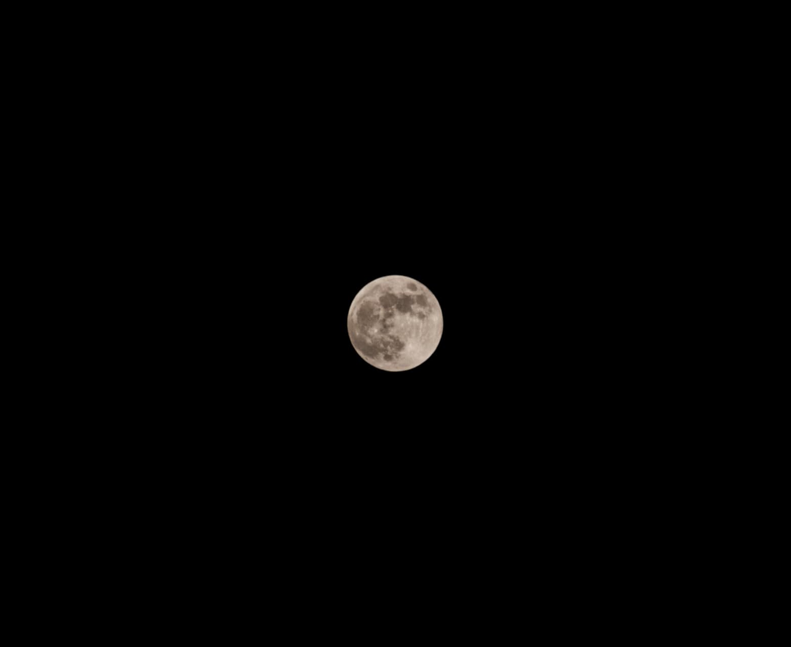 Panasonic LUMIX S 28-200mm f/4-7.1 MACRO O.I.S. Lens (L-Mount) customer photo 1