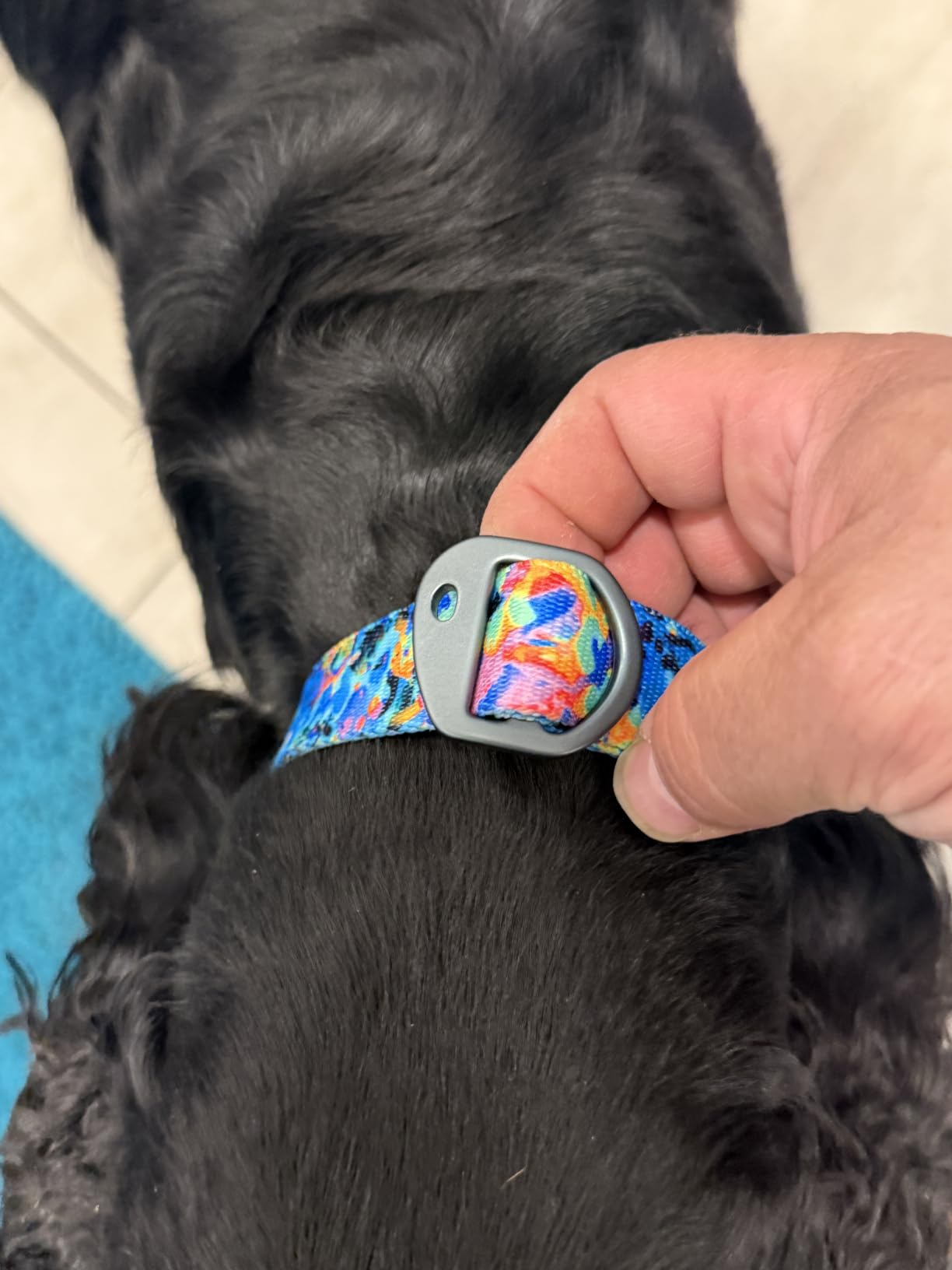 Stunt Puppy Dog Collar, Fi Series 3 and 3+ Ready, Frolic Summer, Large - Compatible with Fi GPS Device (Not Included) customer photo 2