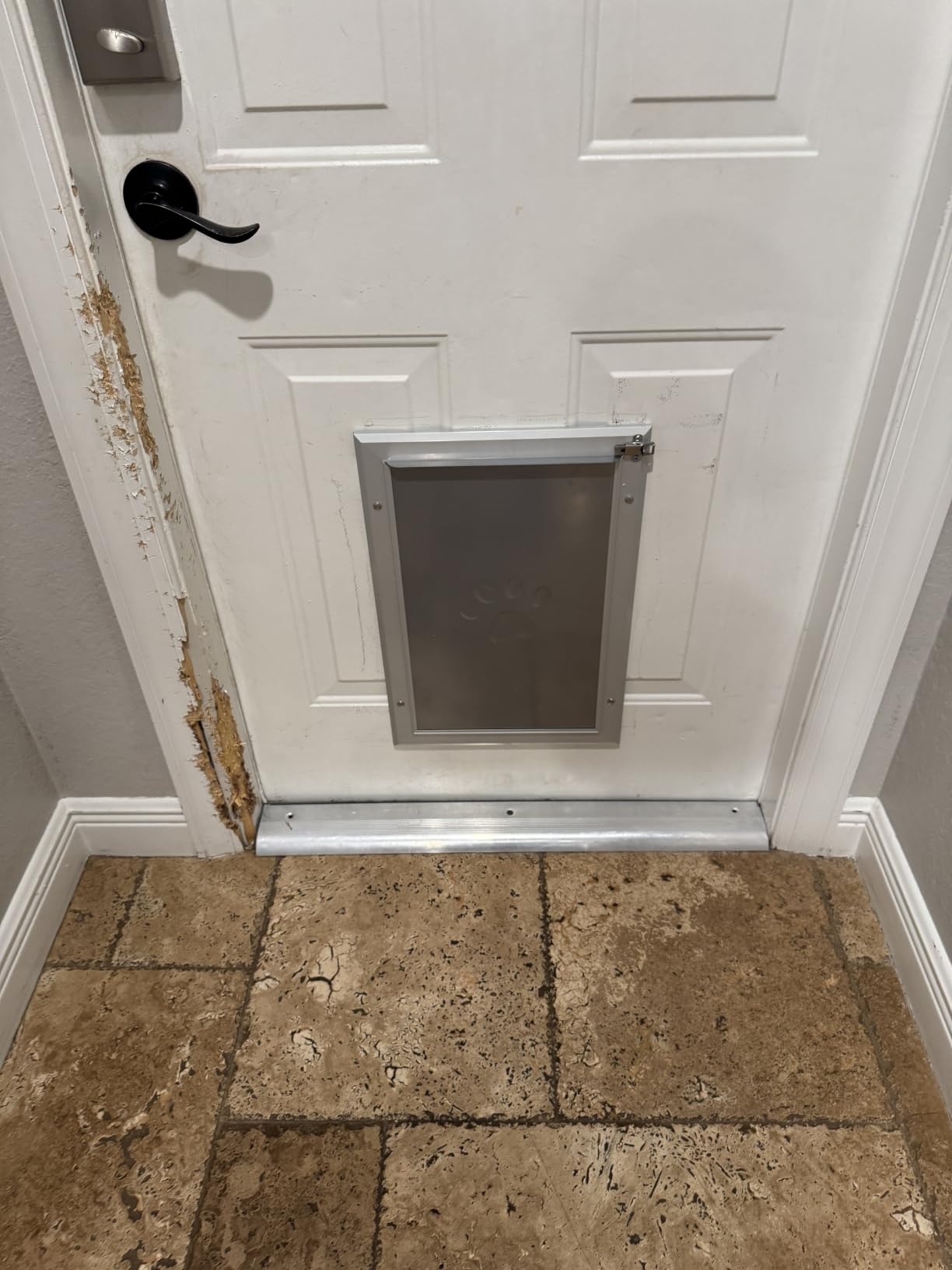 [Petoasis] 3-Flaps Heavy-Duty Dog Door, Rust Proof Aluminum Alloy Frame | Energy-Efficient, Thick Flaps Block Wind Snow Rain Intrusion in Extreme Weather (Silvery White, Large for Door) customer photo 2