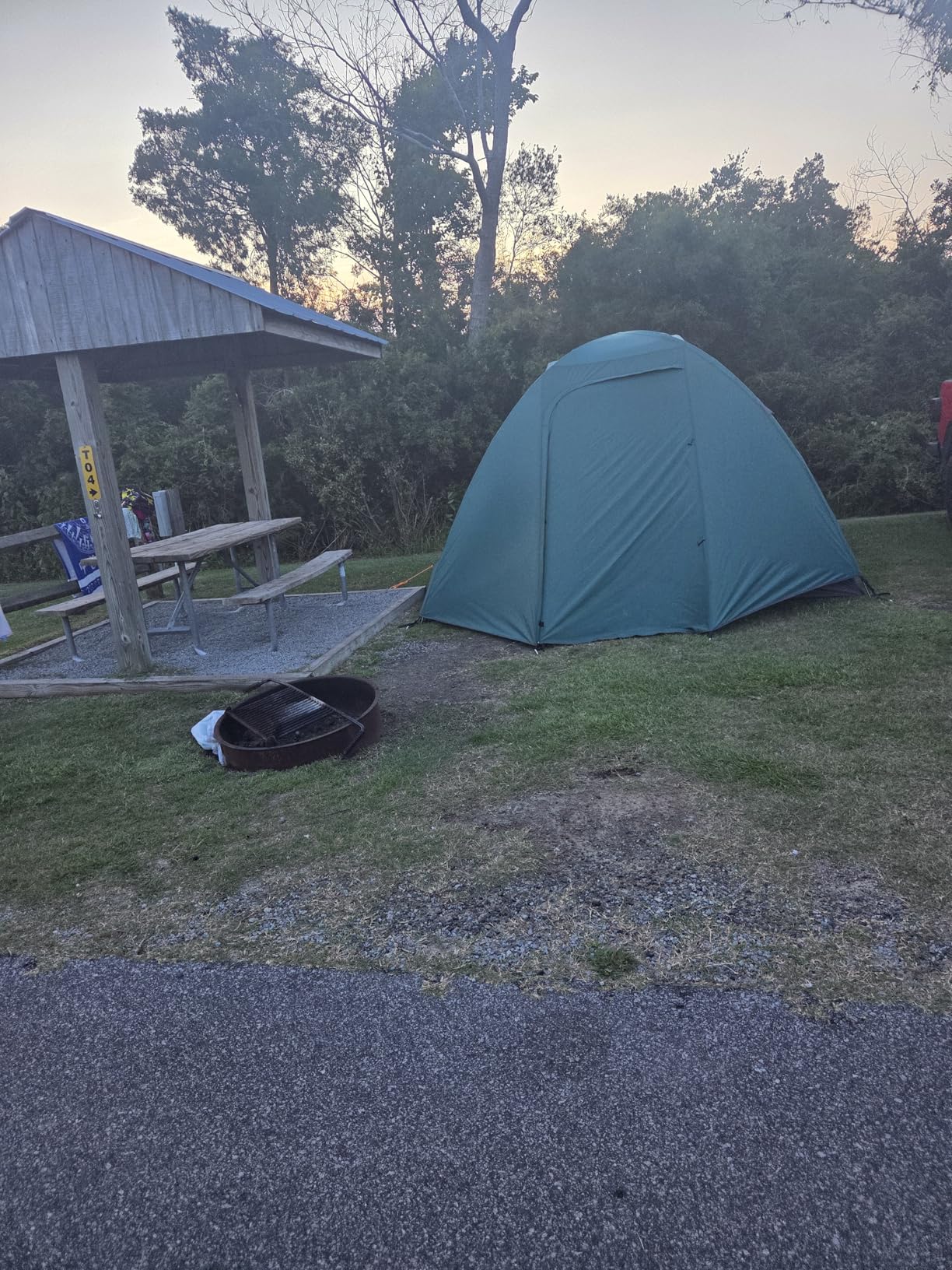 ALPS Mountaineering Lynx 6-Person Tent - Dark Teal/Gray customer photo 1