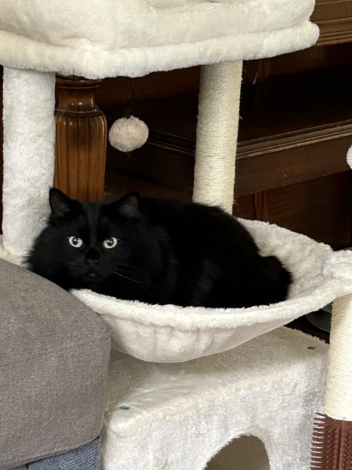 Cat Tree 32