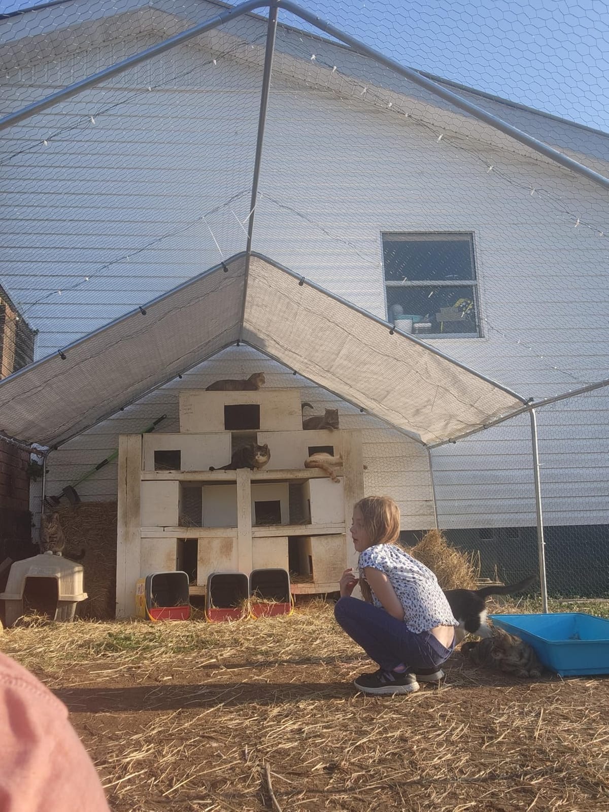 Outvita Chicken Coop, 13x10 FT Large Metal Chicken House, Poultry Habitat Cage with Waterproof Cover, Walk-in Chicken Run Pen for Small Animals, Yard, Farm, Patio customer photo 1