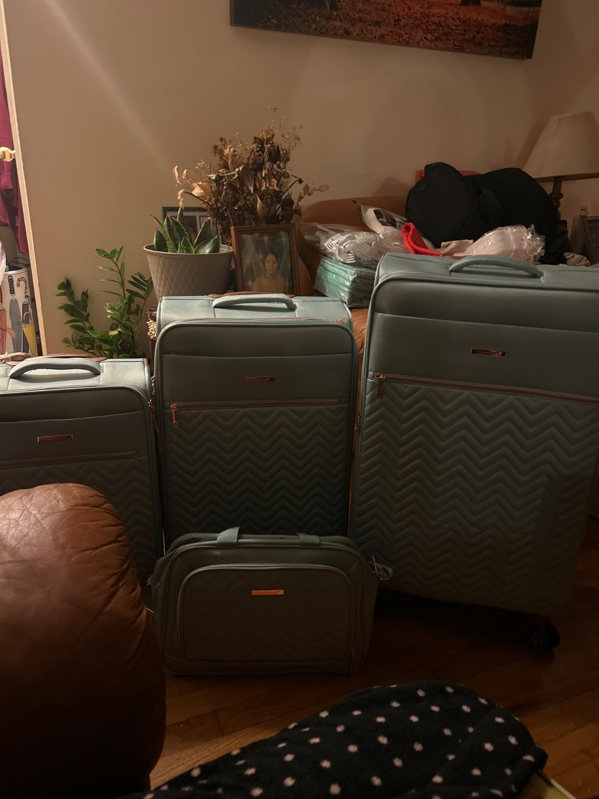 Travelhouse 4-Piece Softside Luggage Set with Spinner Wheels customer photo 1