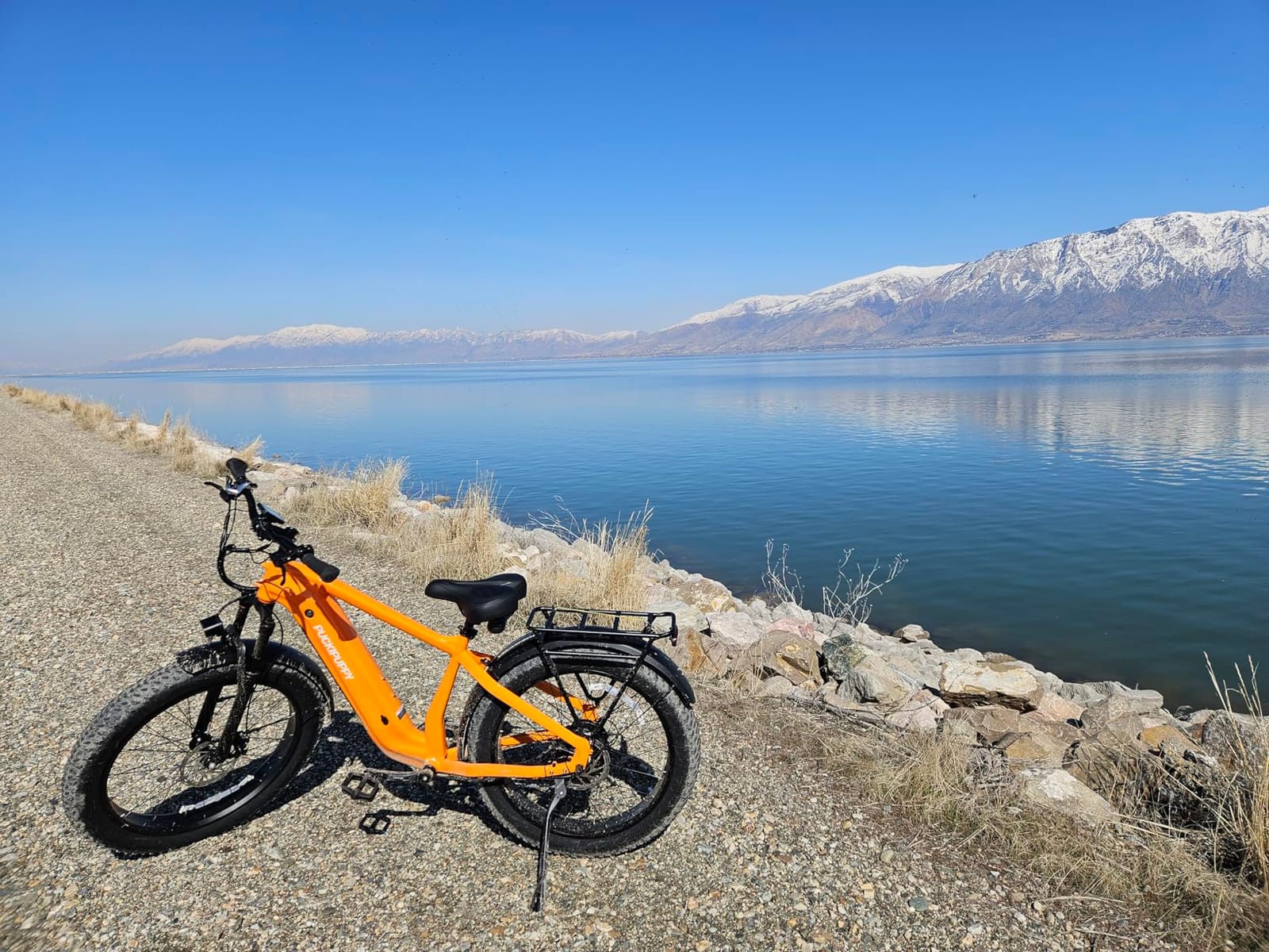 PUCKIPUPPY Electric Bike for Adults with 960W(Peak), 26