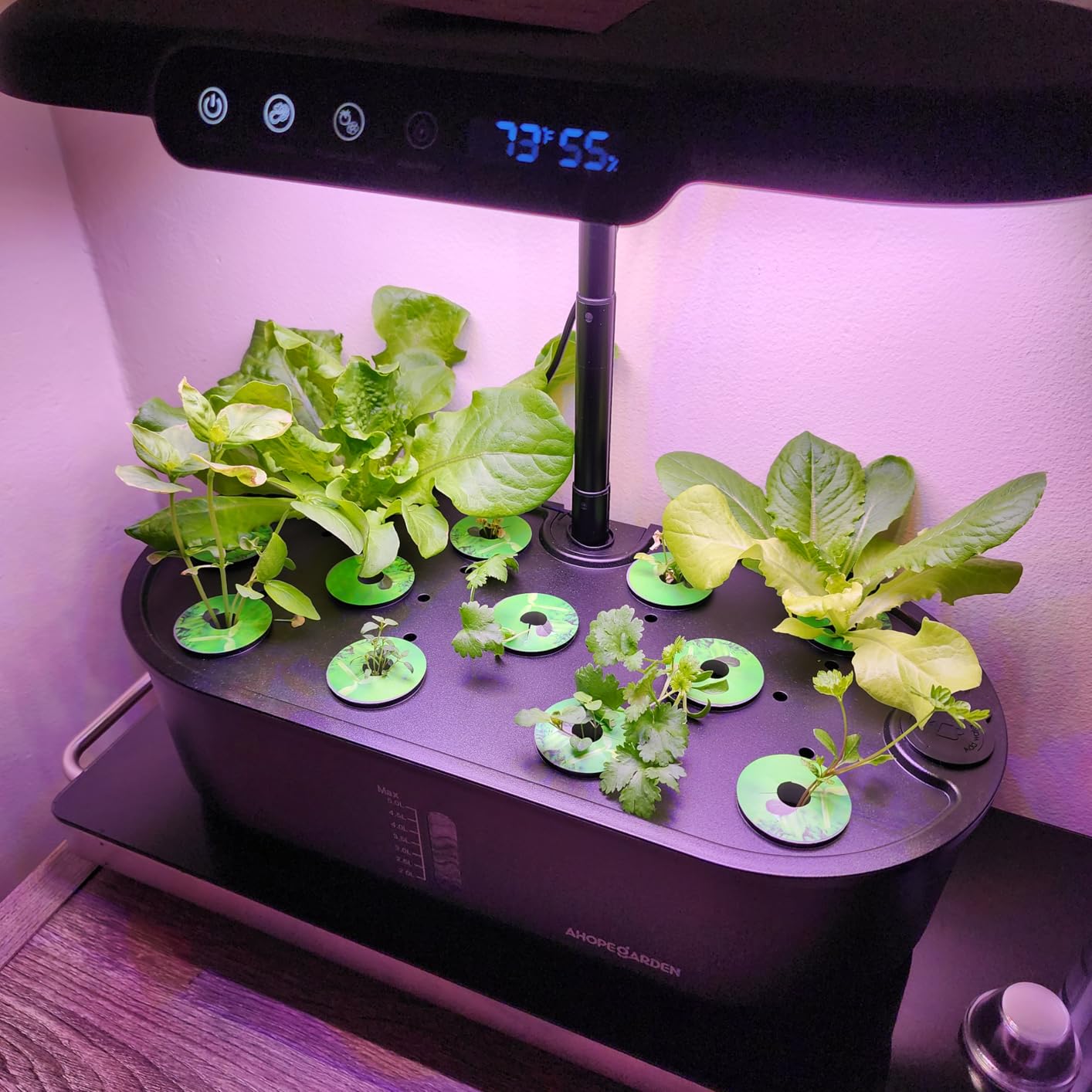 Ahopegarden Hydroponics Growing System Kit: 12 Pods Temp & Humidity Monitor customer photo 2