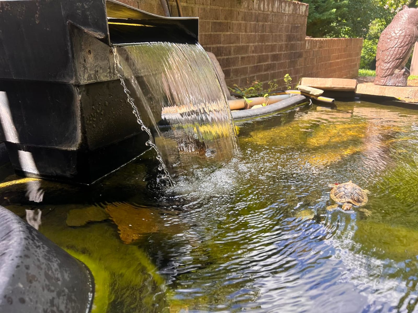 TONGCHANT 1800 GPH Pond Pump for Fish Pond Fountain & Waterfall, 14FT Lift | 100W submersible fountain water pump with 180° rotatable nozzle, filter bag & 20FT cord, ultra-quiet operation, UL listed customer photo 1