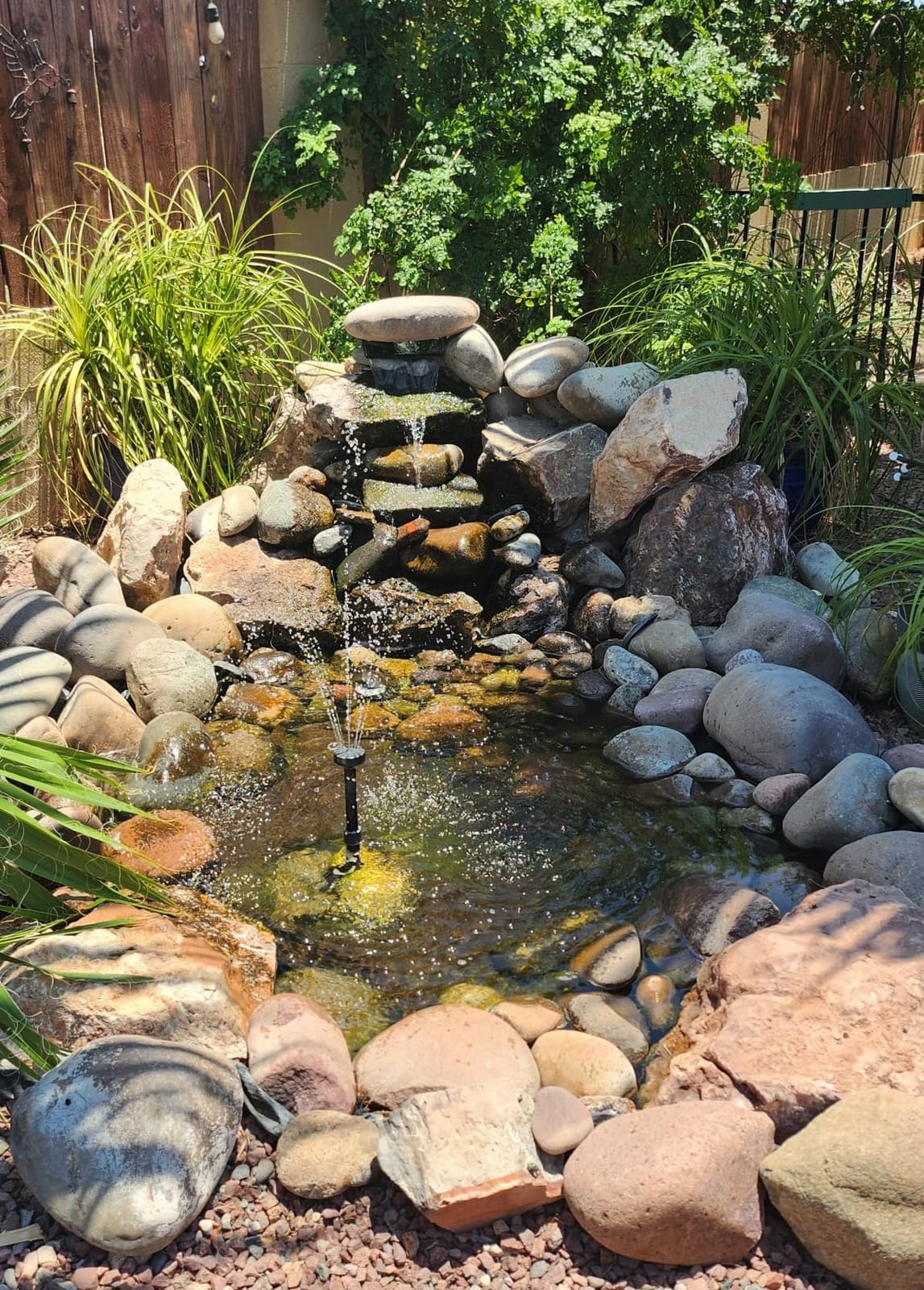 TONGCHANT 1800 GPH Pond Pump for Fish Pond Fountain & Waterfall, 14FT Lift | 100W submersible fountain water pump with 180° rotatable nozzle, filter bag & 20FT cord, ultra-quiet operation, UL listed customer photo 2