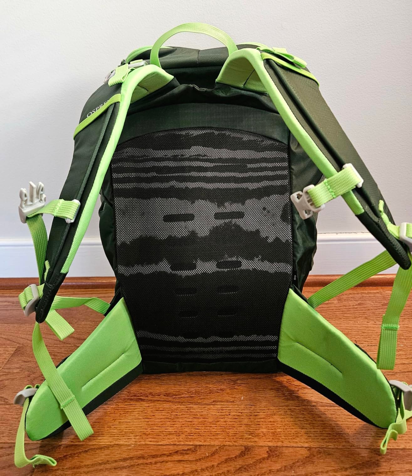 Osprey Jet 28L Kid's Hiking Backpack, Green Canopy customer photo 2
