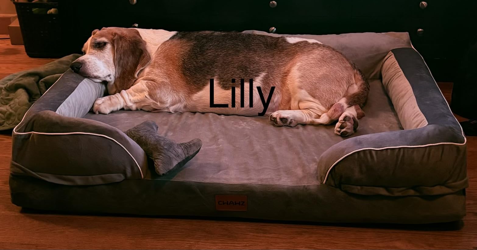 CWAWZ Extra Large Dog Bed, Orthopedic XL Dog Bed with Cooling Gel Memory Foam, Waterproof Pet Bed with Removable Washable Cover, 42