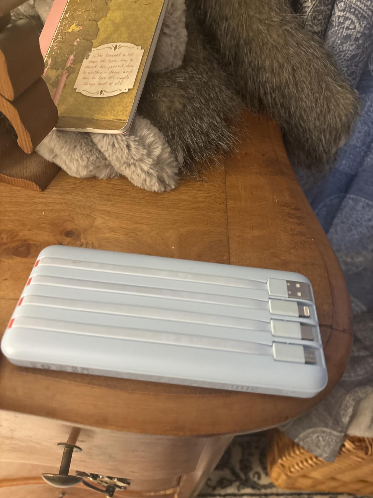 charmast Portable Charger Built-in Cables, 20000mAh Power Bank 6-Output customer photo 2