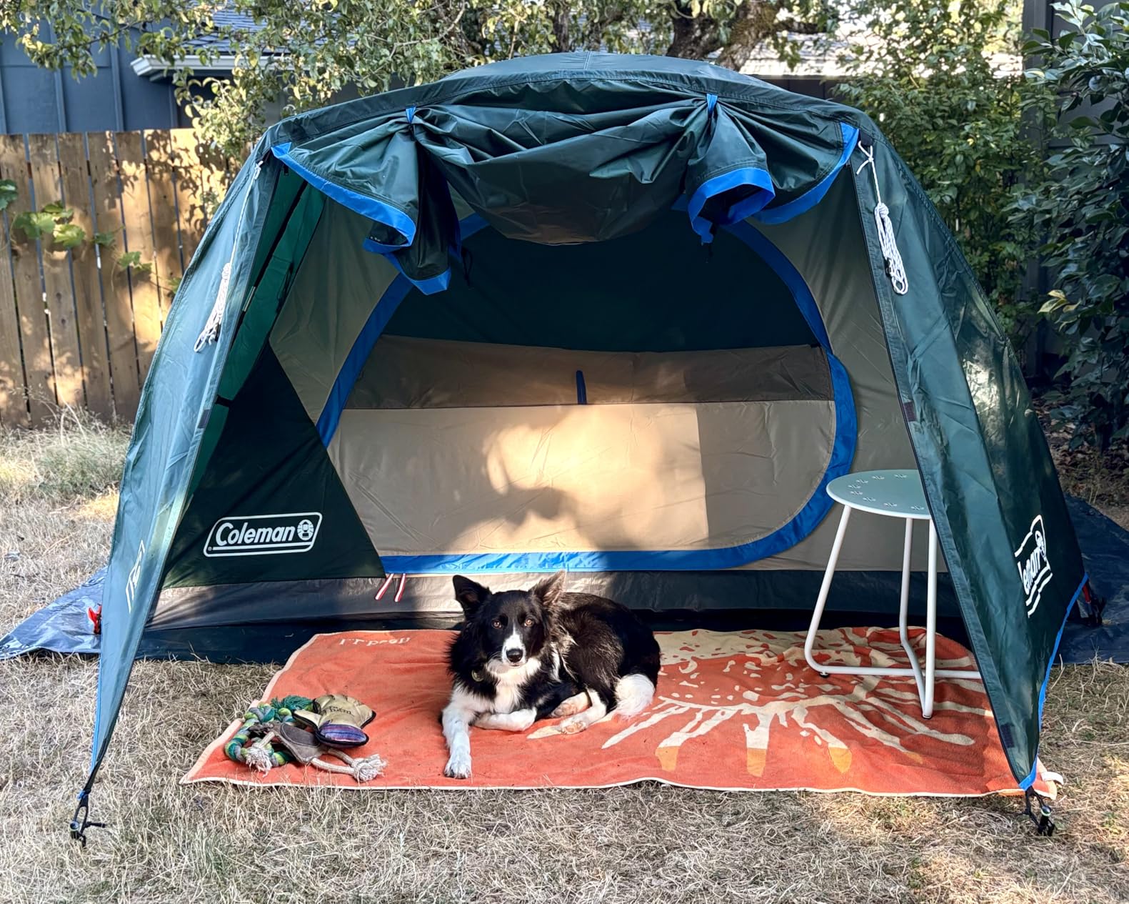Coleman Skydome Tent with Full-Fly Weather Vestibule, Weatherproof 4/6 Person Tent Sets Up in 5 Minutes & Protects from Water, 20% More Headroom Than Traditional Shelters customer photo 1