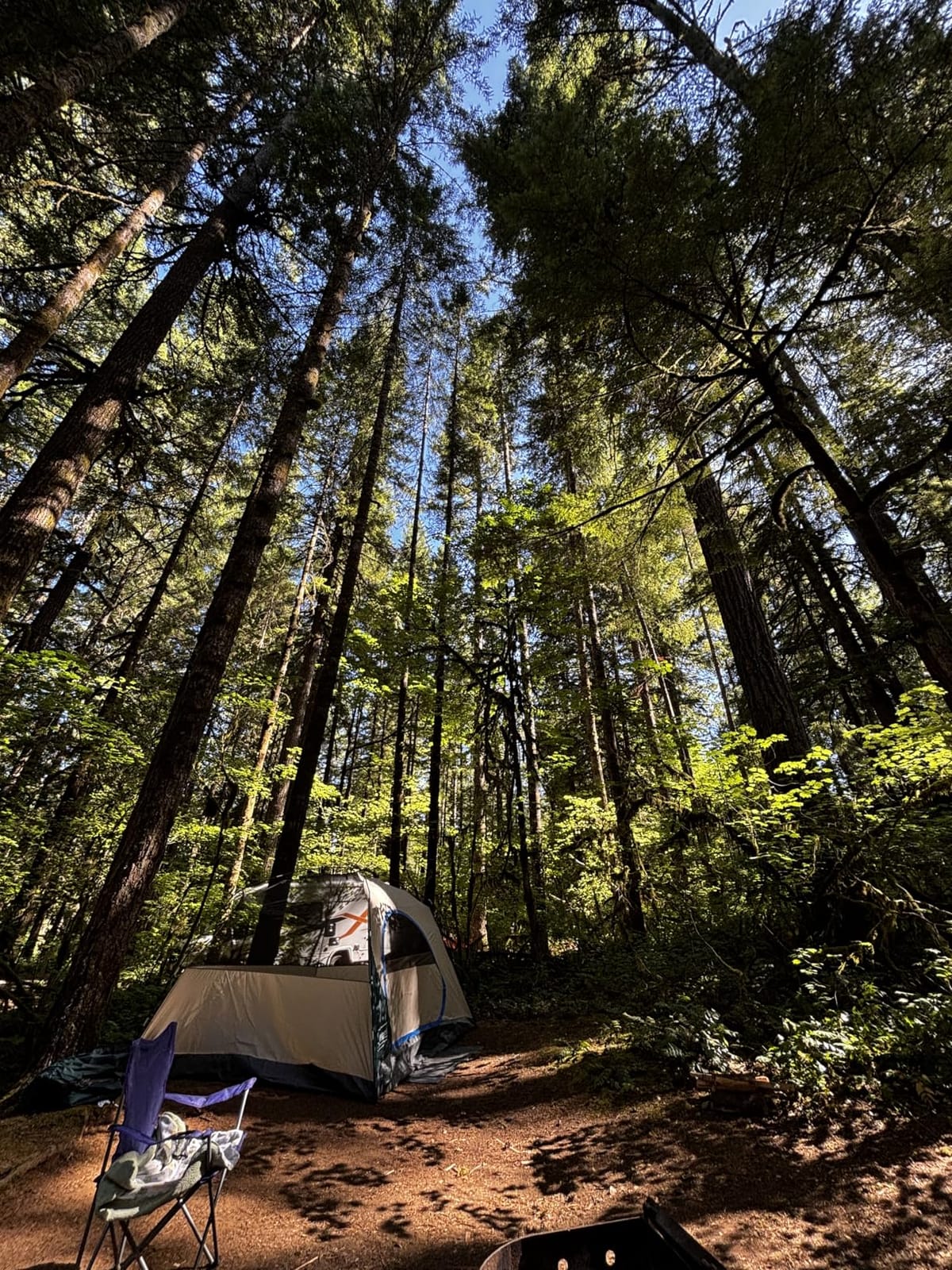 Coleman Skydome Camping Tent with 5 Minute Setup, 2/4/6/8 Person Weatherproof Tent with Rainfly & Carry Bag, 20% More Headroom Than Traditional Canopies customer photo 1