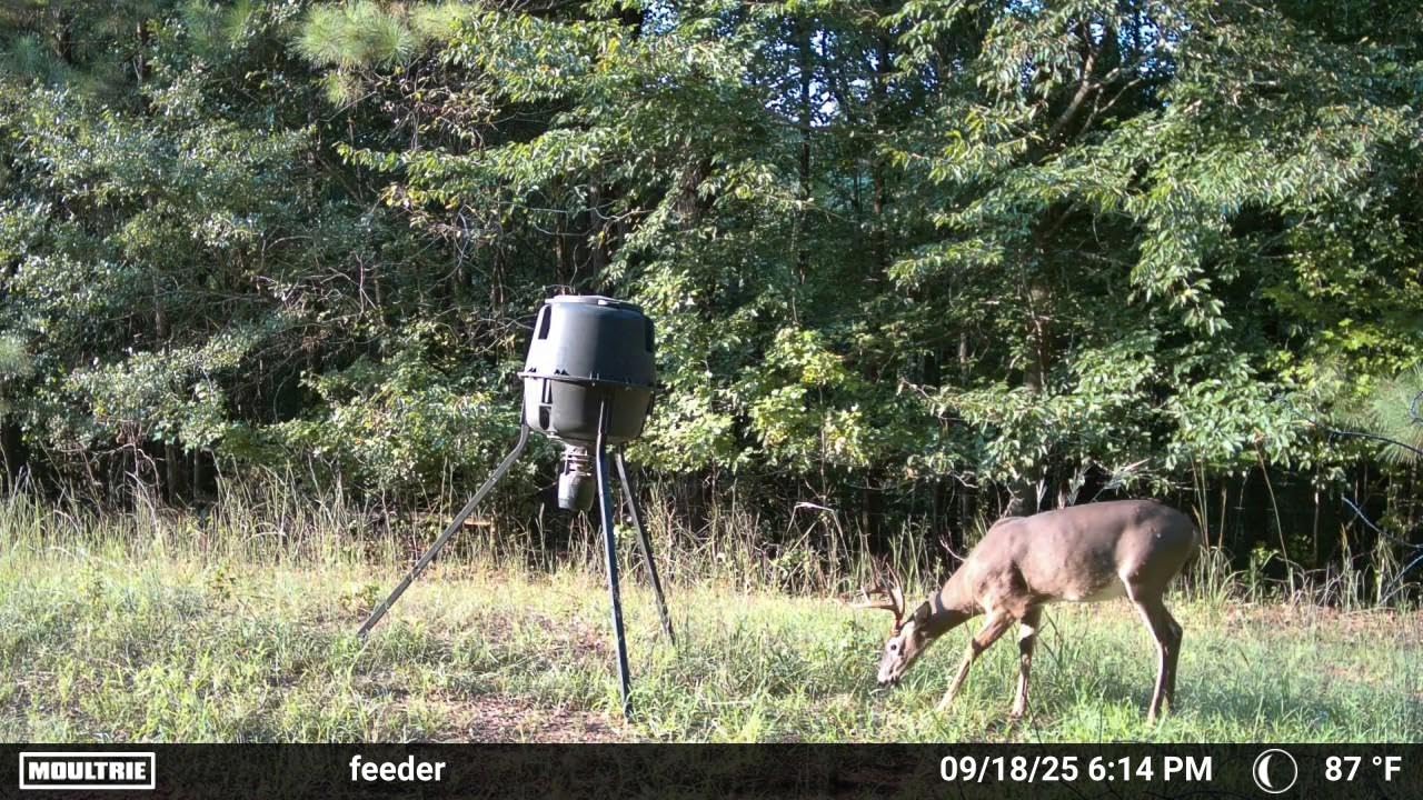 Moultrie Edge 2 Cellular Trail Camera | Scout from Anywhere, HD photos via Mobile app, 1080p video, multi-carrier, low-glow flash, 100ft detection customer photo 1