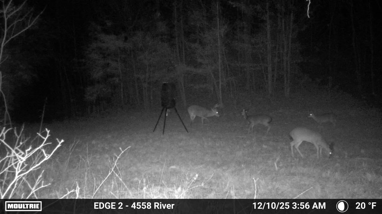 Moultrie Edge 2 Cellular Trail Camera | Scout from Anywhere, HD photos via Mobile app, 1080p video, multi-carrier, low-glow flash, 100ft detection customer photo 2