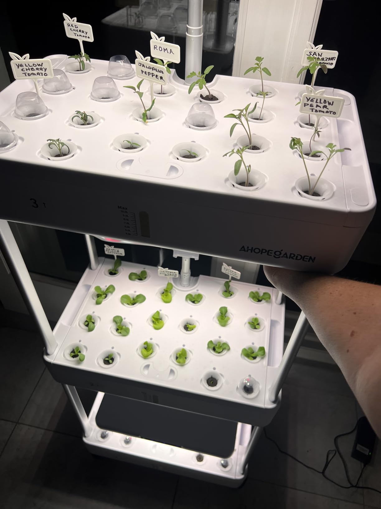 Ahopegarden Indoor Garden Hydroponics Growing System Kit: 66 Pods Plant Herb Garden Germination Kit with LED Grow Light, 30L Large Capacity Kitchen Hydroponics Planter Grower for Vegetable Fruit customer photo 1
