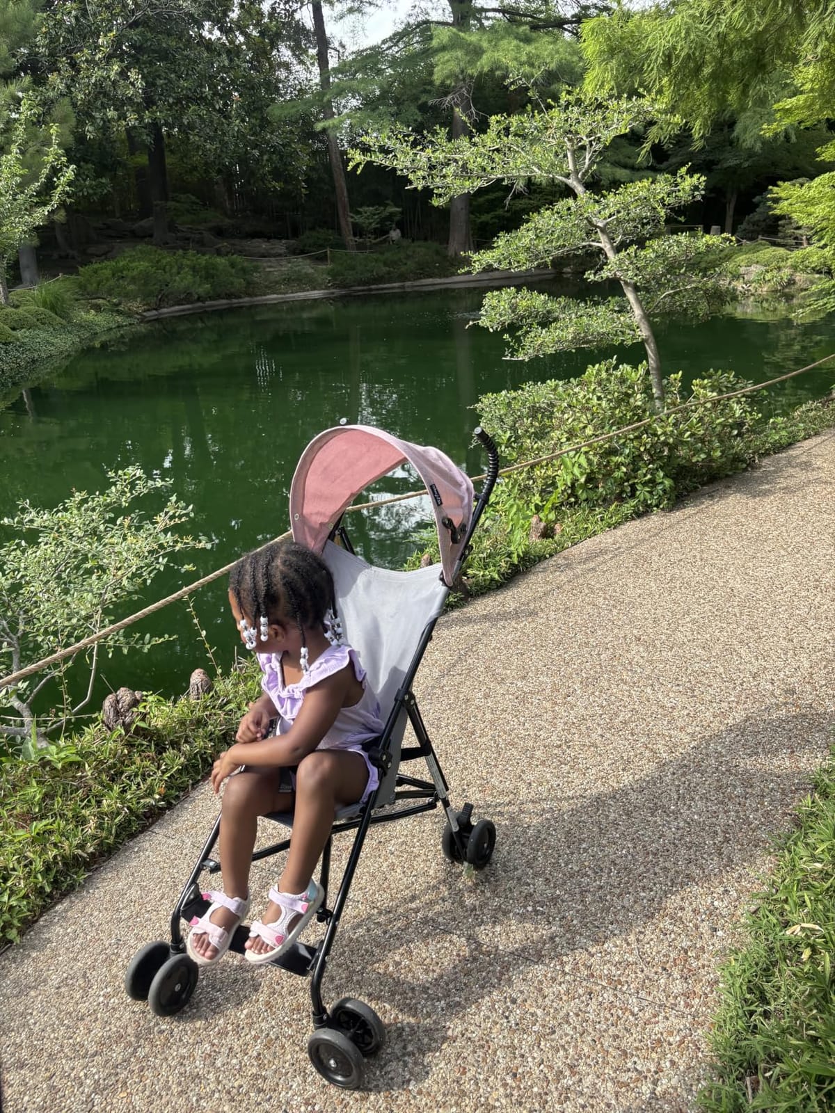 Dream On Me Aero Travel Umbrella Stroller, 1-Hand Fold, Lightweight, Grey | 3 Point Safety Harness, Dual Brakes, Adjustable Removable Canopy, Sturdy Steel Frame, Compact, For Toddlers 6-36 months customer photo 1