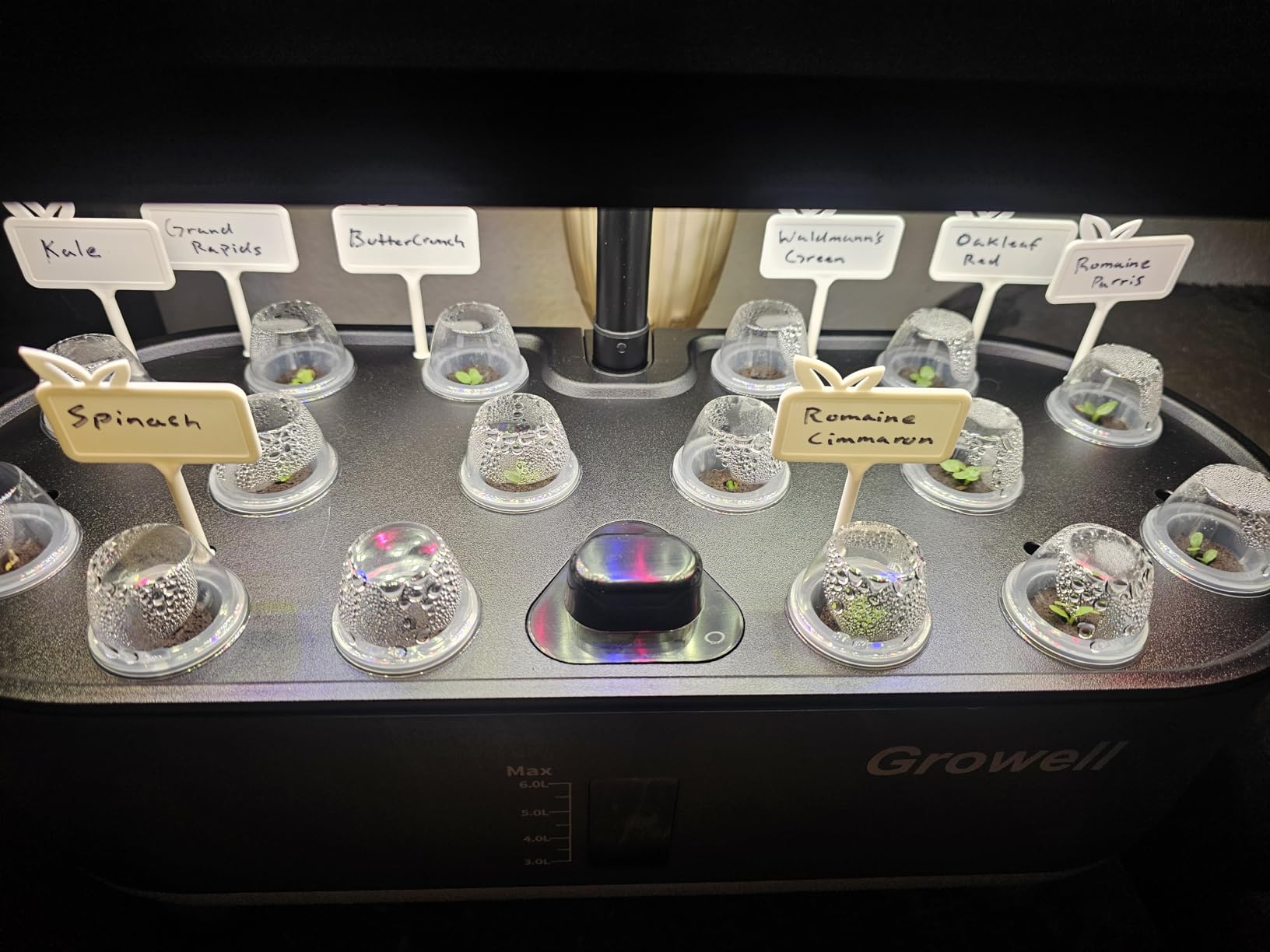 Growell Hydroponics Growing System Kit, 16 Pods Indoor Garden with 28W Full Spectrum LED Grow Light, Auto Timer, 3 Smart Light Modes, 8L Large Herb Garden, Ideal Gardening Gift for Women, Men (Black) customer photo 2