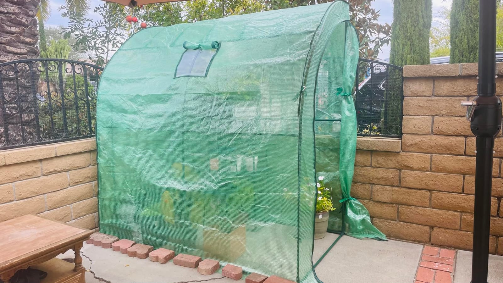 VEVOR Walk-in Tunnel Greenhouse, 9.6x6.4x6.2 ft Hoop House Greenhouse Tunnel, Plant Hot House with Galvanized Steel Frame, Green PE Cover, Roll-up Zipper Door and 6 Windows for Outdoor customer photo 2