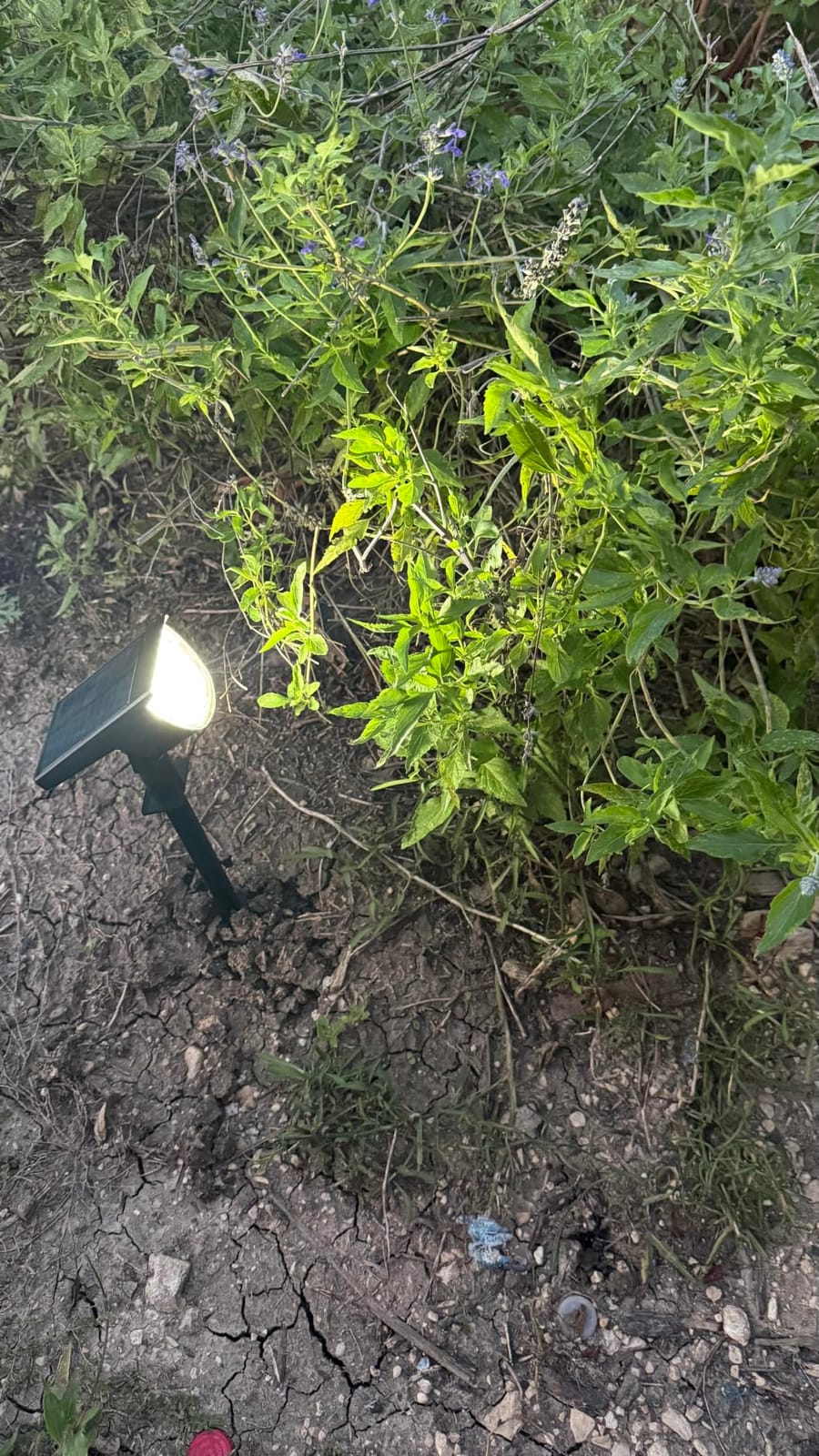 GKGG Solar Lights Outdoor Waterproof IP65, Solar Powered 76 LED 3 Lighting Modes Solar Spot Lights Outdoor for Yard Garden Landscape Pathway (Warm White, 4 Pack) customer photo 2