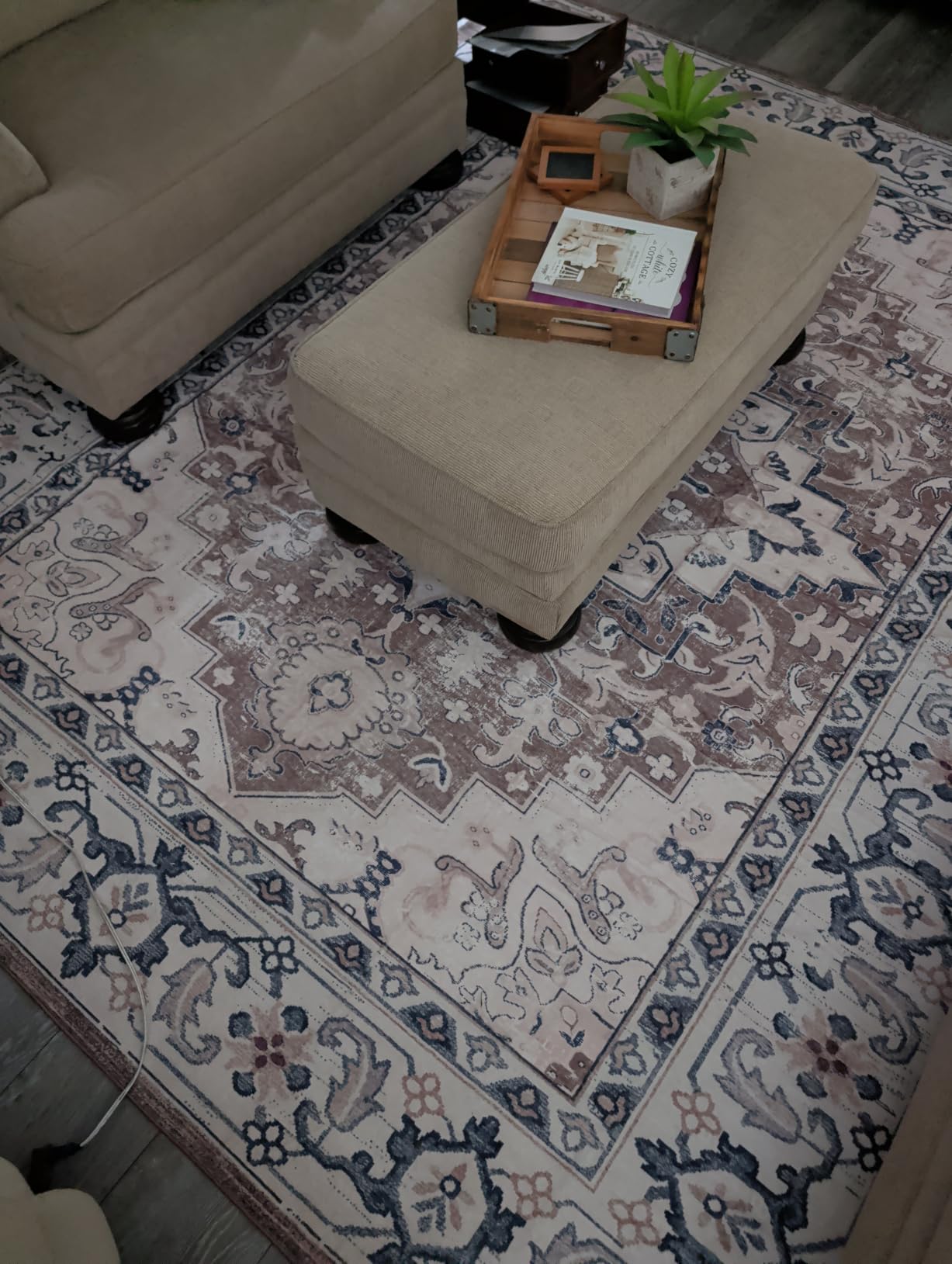 Lofus 8x10 Area Rugs for Living Room Bedroom, Soft Boho Carpet Floral Brown | High-Power Vacuuming, Non-Slip, Low Pile, Stain & Water Repellent, Soft, Skin-Friendly, for Kitchen Entryway Office customer photo 1