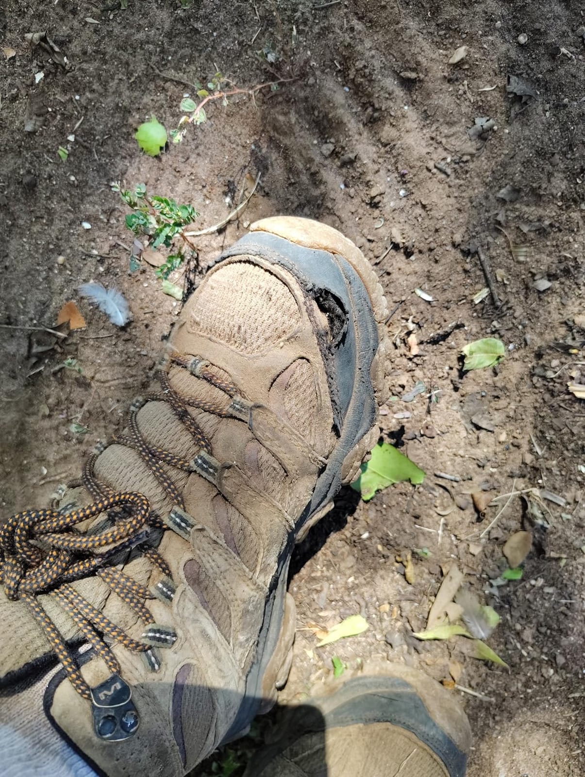 Men's Moab 3 Mid Waterproof Hiking Boots customer photo 1