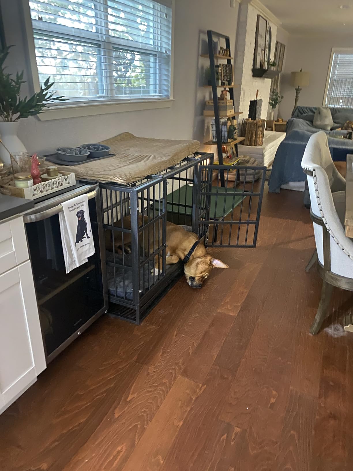 Oranland 48-Inch Heavy Duty Dog Crate for Large Dogs | Indestructible Dog Cage with Escape-Proof Lock, Double Doors, Secure Locks, Removable Wire Tray for High Anxiety Dogs customer photo 2
