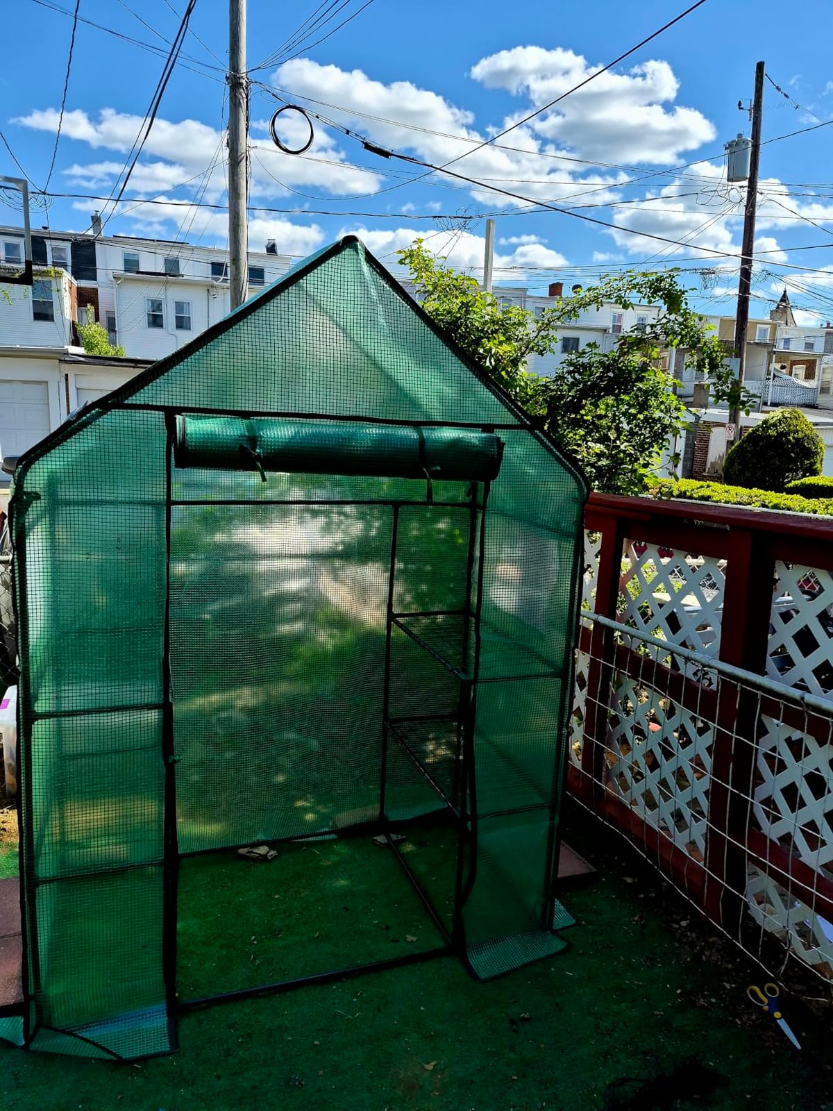 Ohuhu Small Greenhouse for Outdoors: 4 Tiers 6 Shelves Walk-in Indoor Green House Heavy Duty Plant Stands Reinforced Plastic PE Cover Mini Portable Warm House for Outside, 4.8x2.5x6.4 FT White customer photo 1