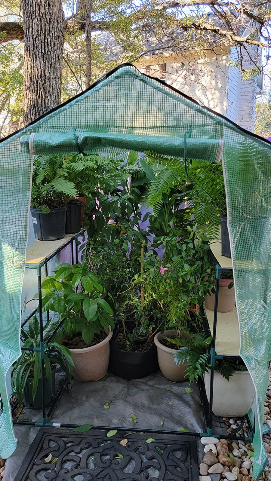 Ohuhu Small Greenhouse for Outdoors: 4 Tiers 6 Shelves Walk-in Indoor Green House Heavy Duty Plant Stands Reinforced Plastic PE Cover Mini Portable Warm House for Outside, 4.8x2.5x6.4 FT White customer photo 2