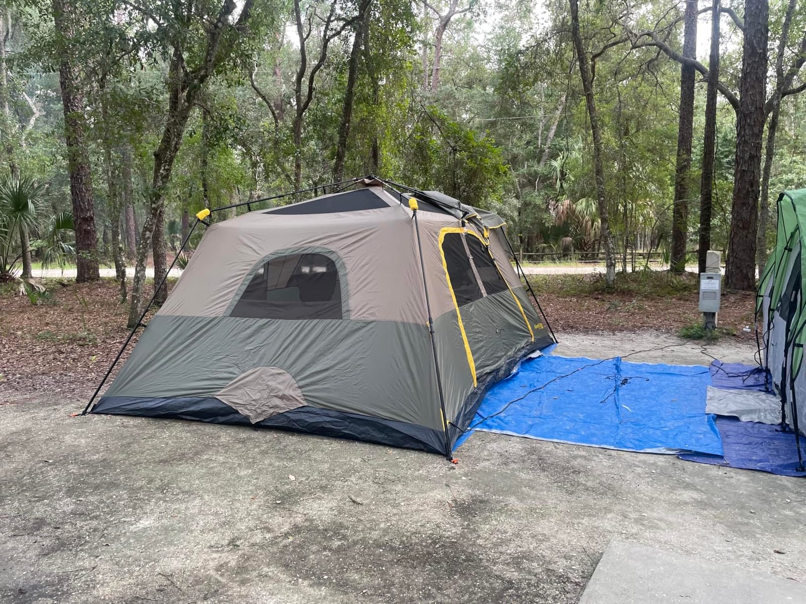 FanttikOutdoor Camping Tent 4/6/8/10 Person Instant Cabin Tent Setup in 60 Seconds with Rainfly & Windproof Portable with Carry Bag for Family Camping & Hiking, Upgraded Ventilation, Navy Blue customer photo 2
