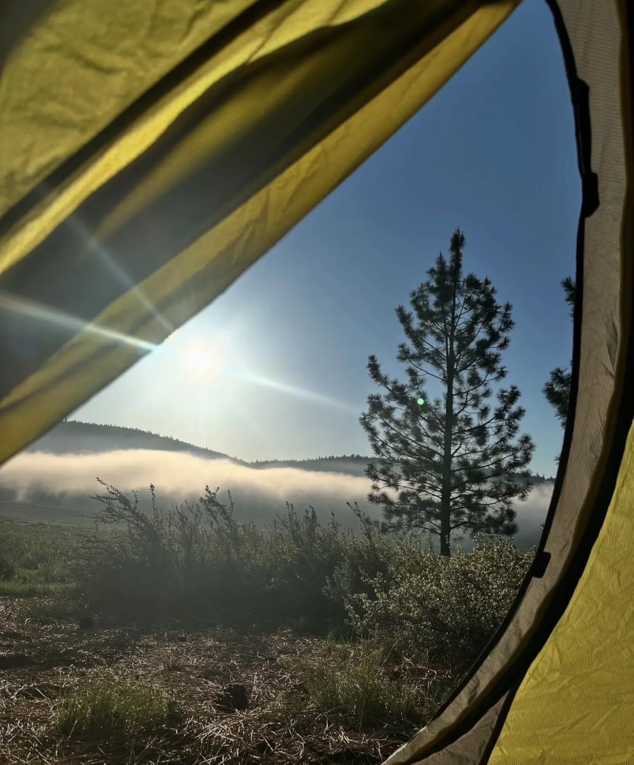 Nemo Dagger OSMO Backpacking Tent | Lightweight, Spacious, Versatile, Camping customer photo 1