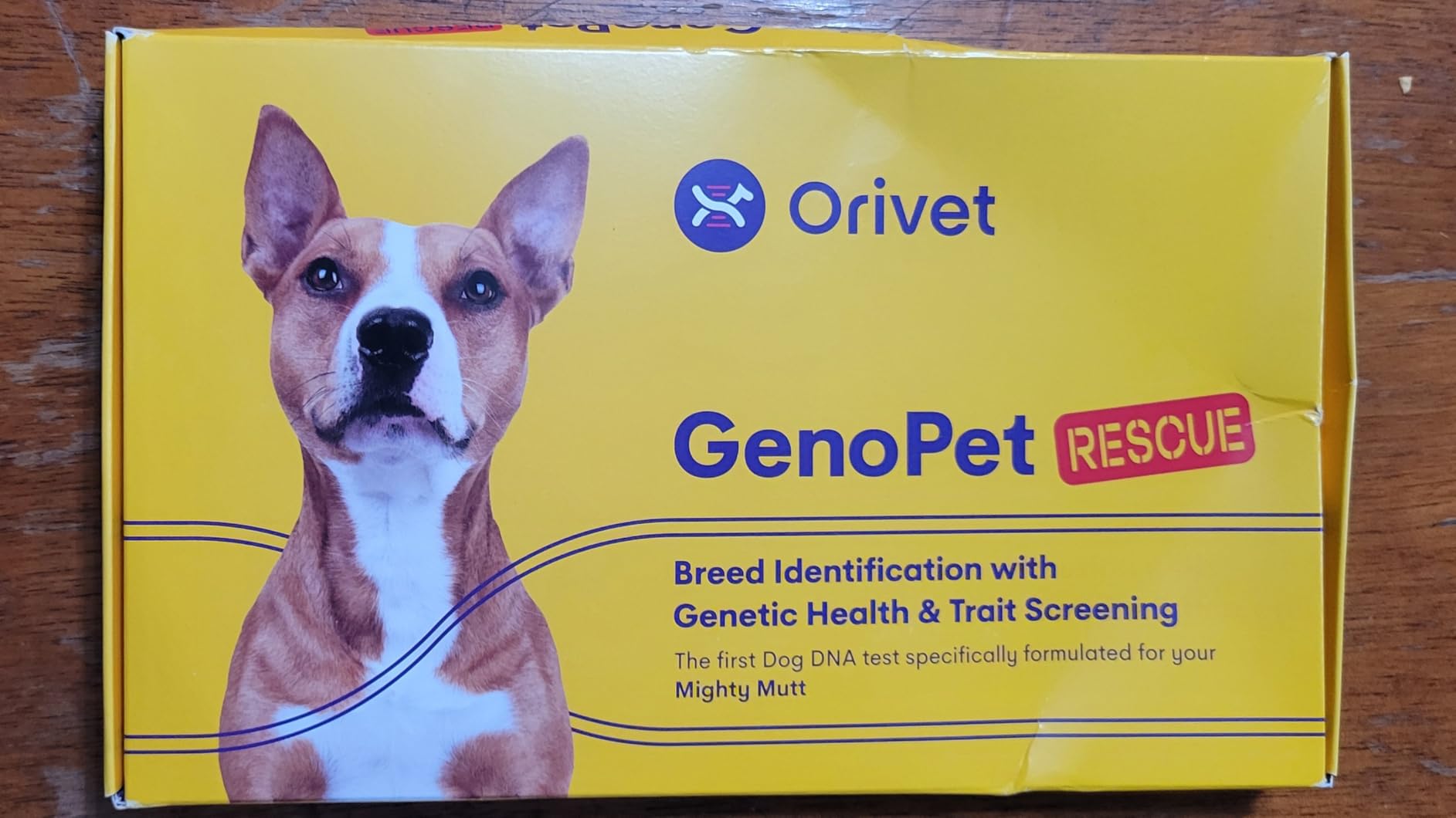 Genopet Dog DNA Test Kit - Comprehensive 365+ Breed Identification and 265 Health Markers, At Home Canine Genetic Testing with Life Plan customer photo 2
