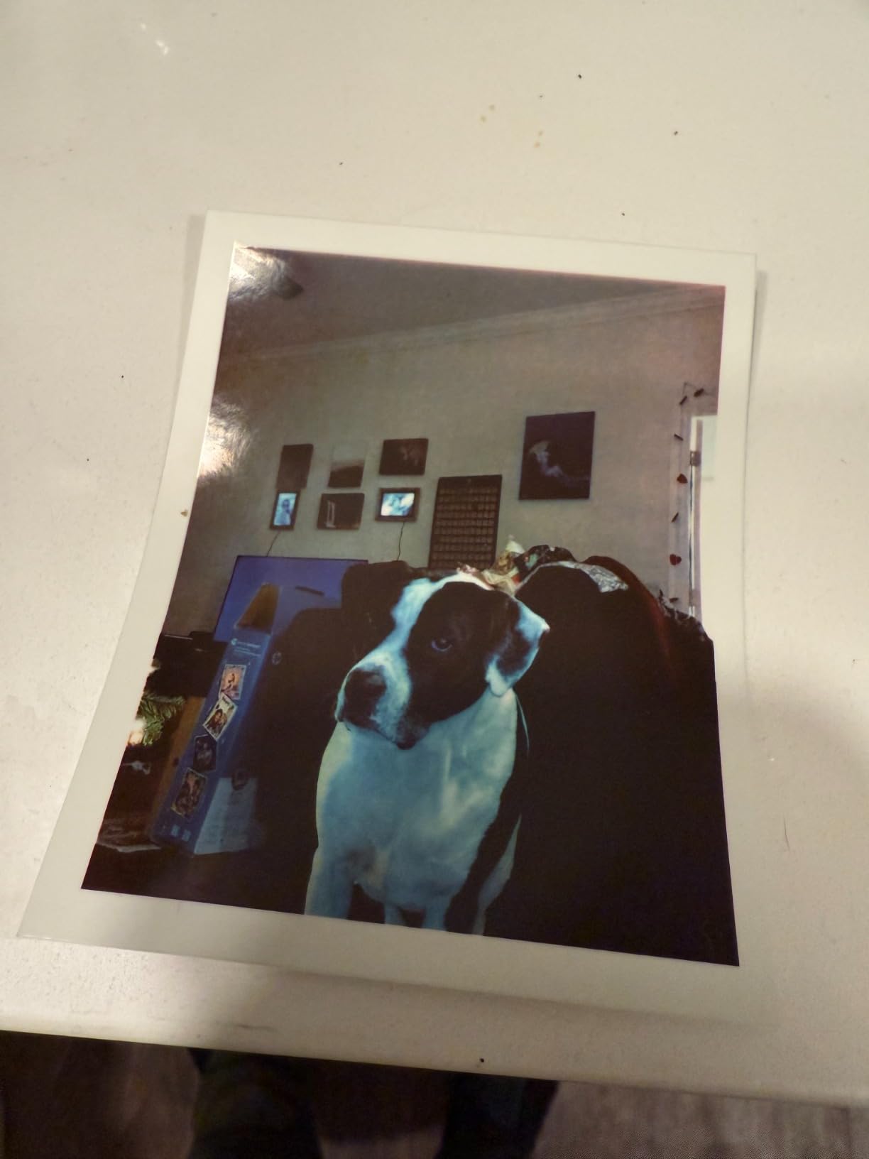 HP Sprocket Photo Booth Machine Instant Color Photo Printer - 10.1
