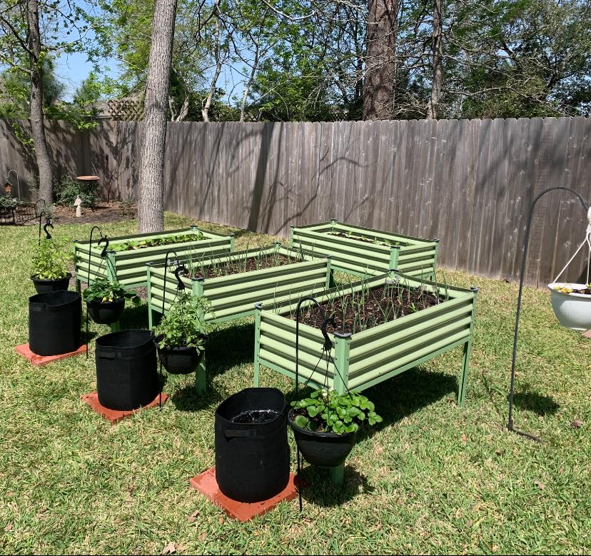 3 Pack 10 Gallon 360° Visibility Potato Grow Bags with Shading Flap, Plant Grow Bags for Growing Potatoes Heavy Duty Thickened Nonwoven Fabric Gardening Vegetable Growing Bag with Harvest Window customer photo 1