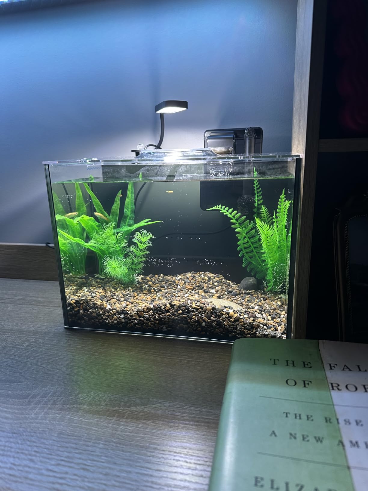 NICREW 2.5 Gallon Nano Nature Aquarium Kit, Ultra-Clear Rimless Desktop Fish Tank with Light and Filter, Perfect for Small Fish, Shrimp, or Betta, Basic Version, Black customer photo 1