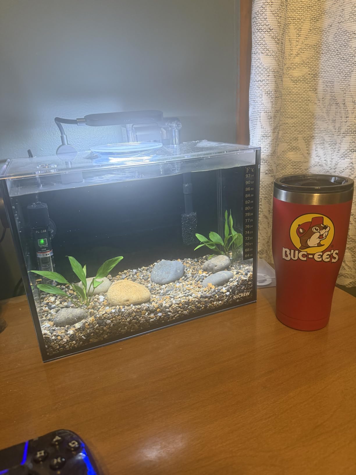 NICREW 2.5 Gallon Nano Nature Aquarium Kit, Ultra-Clear Rimless Desktop Fish Tank with Light and Filter, Perfect for Small Fish, Shrimp, or Betta, Basic Version, Black customer photo 2