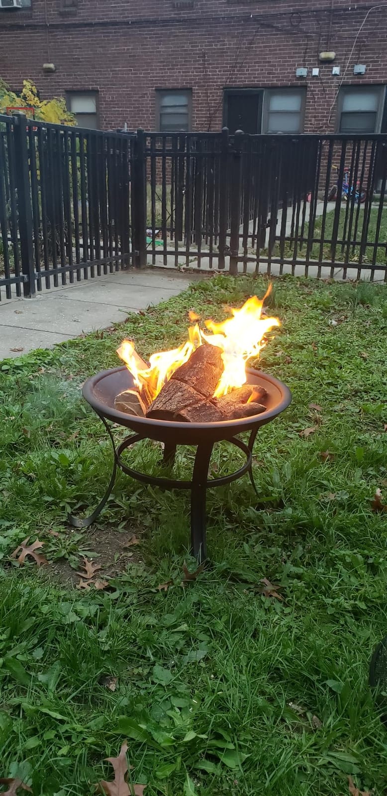 Panovue 22 in Firepit for Outside Outdoor Small Fire Pit with Mesh Lid Durable Firepit with Mesh Lid Log Grate and Fire Poker Fire Pit for Outside Backyard Deck Camping and Picnic customer photo 2