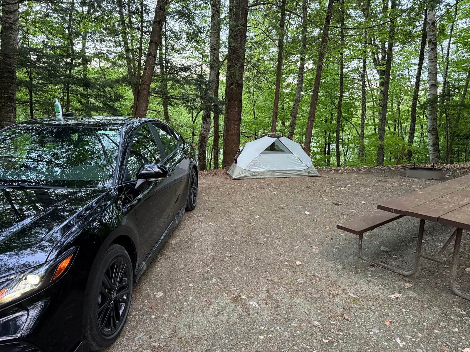 MSR Elixir 1-Person Lightweight Backpacking Tent customer photo 1