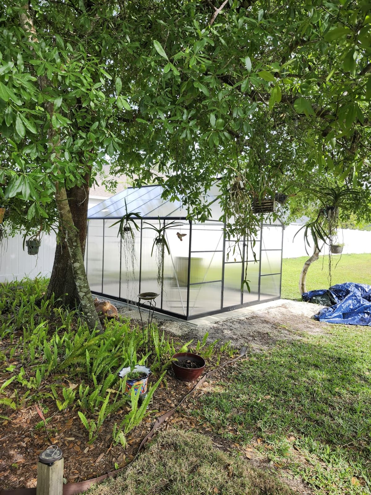 8X10FT Enhanced Aluminum Walk-in Greenhouse for Outdoors with Thermometer | Easy Assembly, UV-Resistant Panel, Rain Gutter, Lockable Hinged Door, Built-in Reinforcement, For Vegetable, Flower and Herb customer photo 1