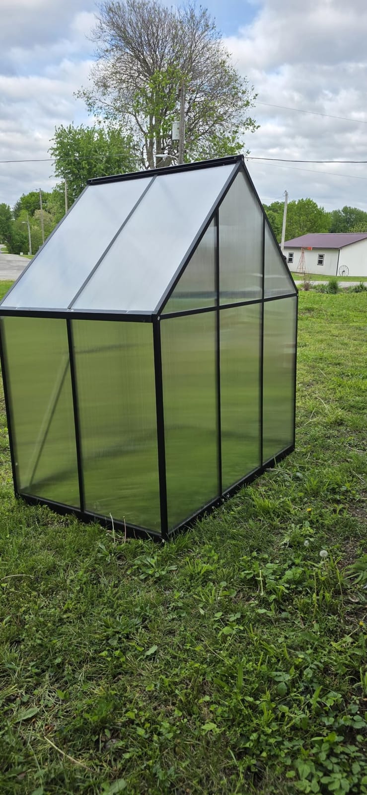 8X14FT Enhanced Aluminum Walk-in Greenhouse for Outdoors with Thermometer customer photo 1