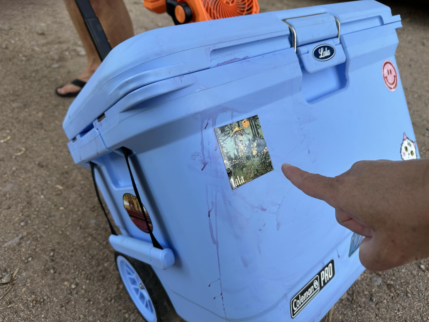 Coleman Pro Heavy-Duty 45qt Ultra-Light Premium Hard Cooler, Extra-Thick Insulation Keeps Ice up to 4 Days, 74-Can Capacity customer photo 2