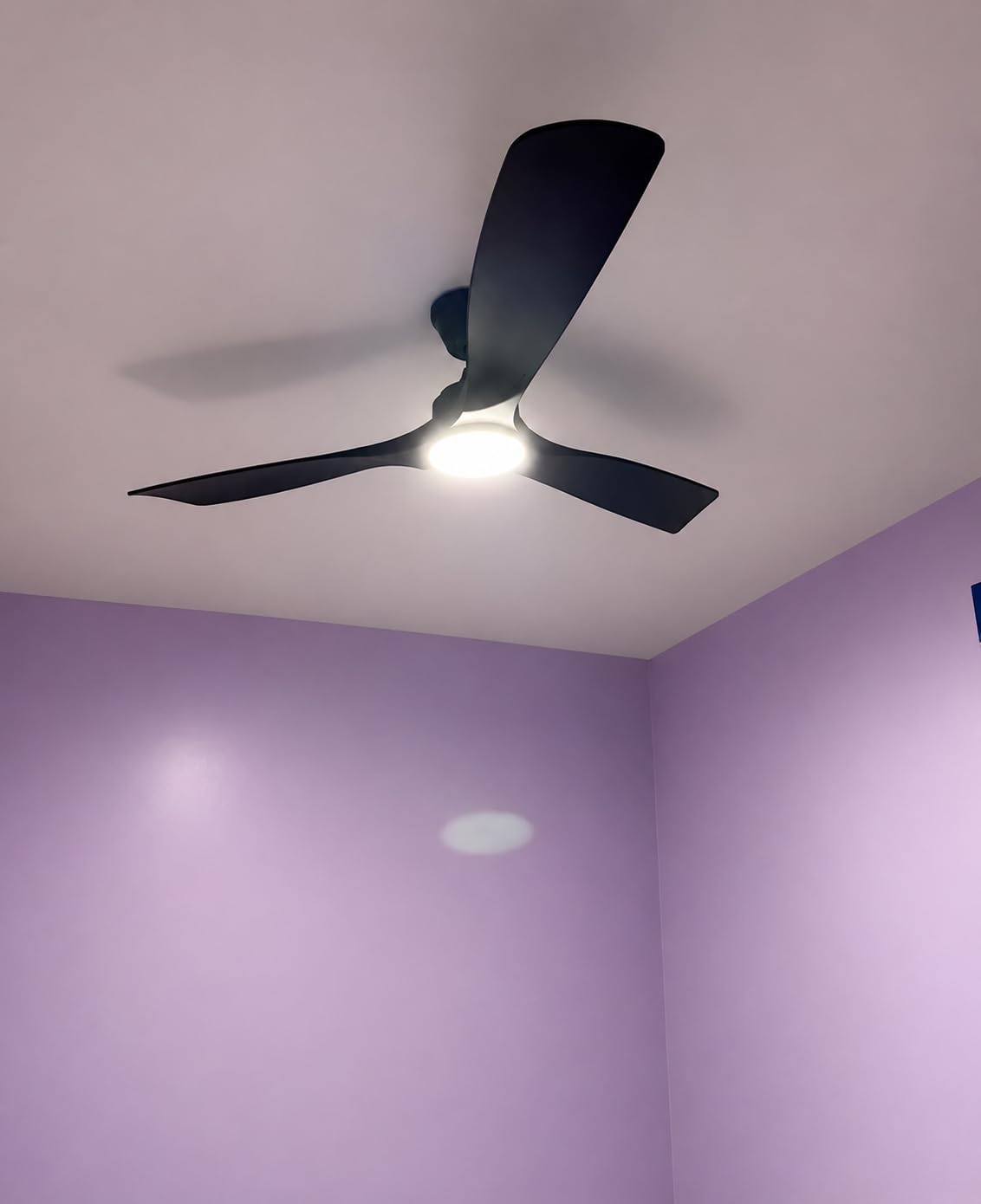 Depuley 52-Inch Ceiling Fan with Light, Black 3 Blade Outdoor Fans for Patios, Dimmable with Remote customer photo 1