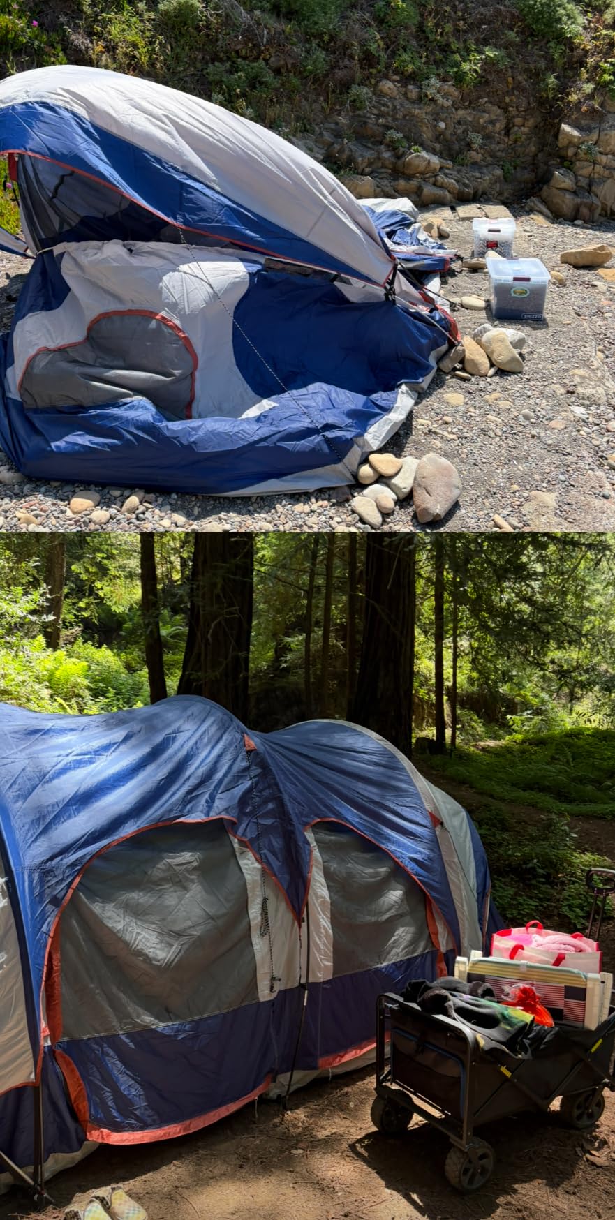 CAMPROS CP 12 Person Camping Tent, 3-Room Family Tent, Rainfly, Waterproof | Windproof double-layer design with 2 divider curtains, 6 large mesh windows, easy setup, and a carry bag, 20' x 9' x 72