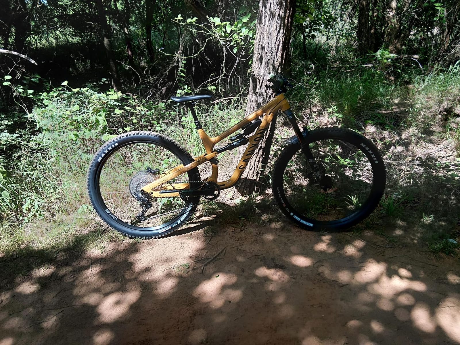 Canyon Spectral 6 customer photo 2