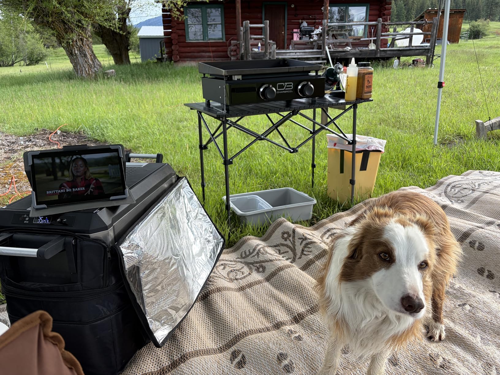 Byliable Camping Table Folding Portable Camp Aluminum Fold Up Lightweight Roll Up Table Adjustable Height with Carry Bag Indoor Outdoor for Camping, Picnic, Backyard, BBQ, Patio, Black customer photo 1