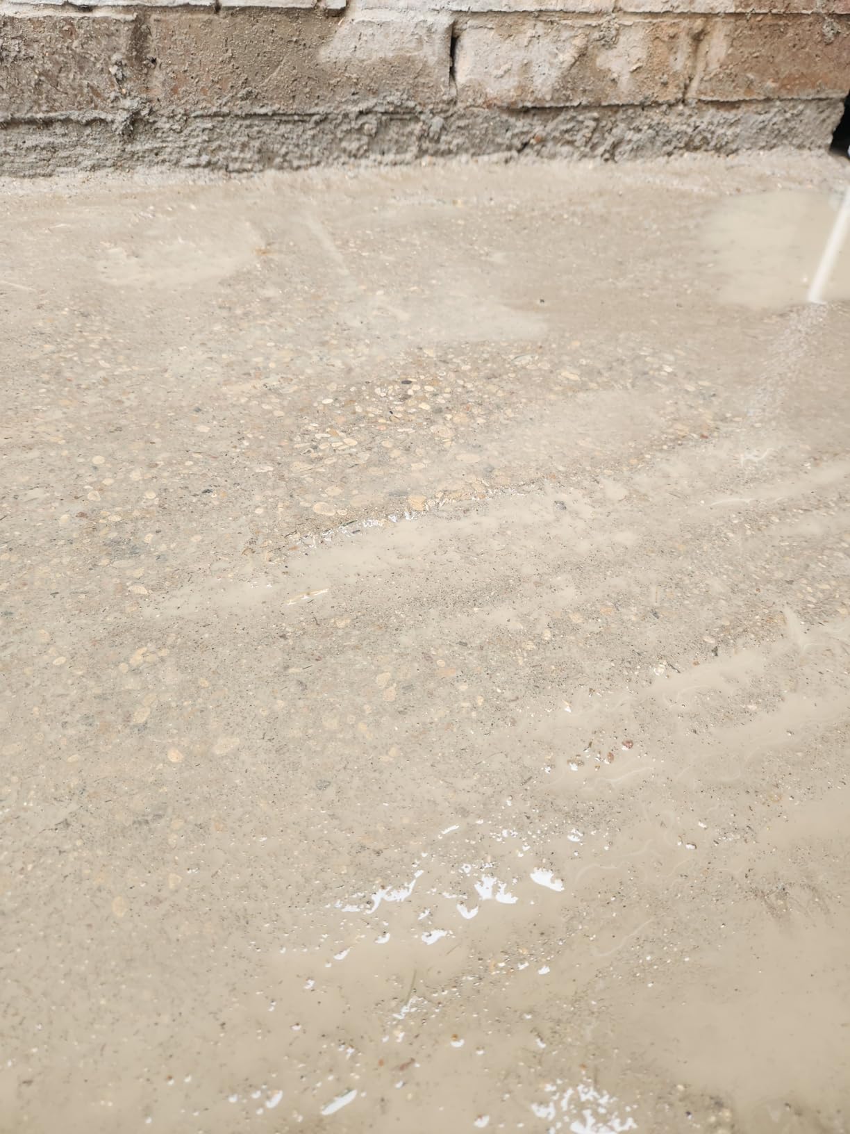 YUCHENGTECH 4-Head Concrete Grinder Set with Dust Extraction Shroud 3800W | Concrete Floor Grinder Concrete Surface Grinder 6-Speed for Grinding Concrete/Cement/Marble/Granite 0-6000RPM customer photo 1