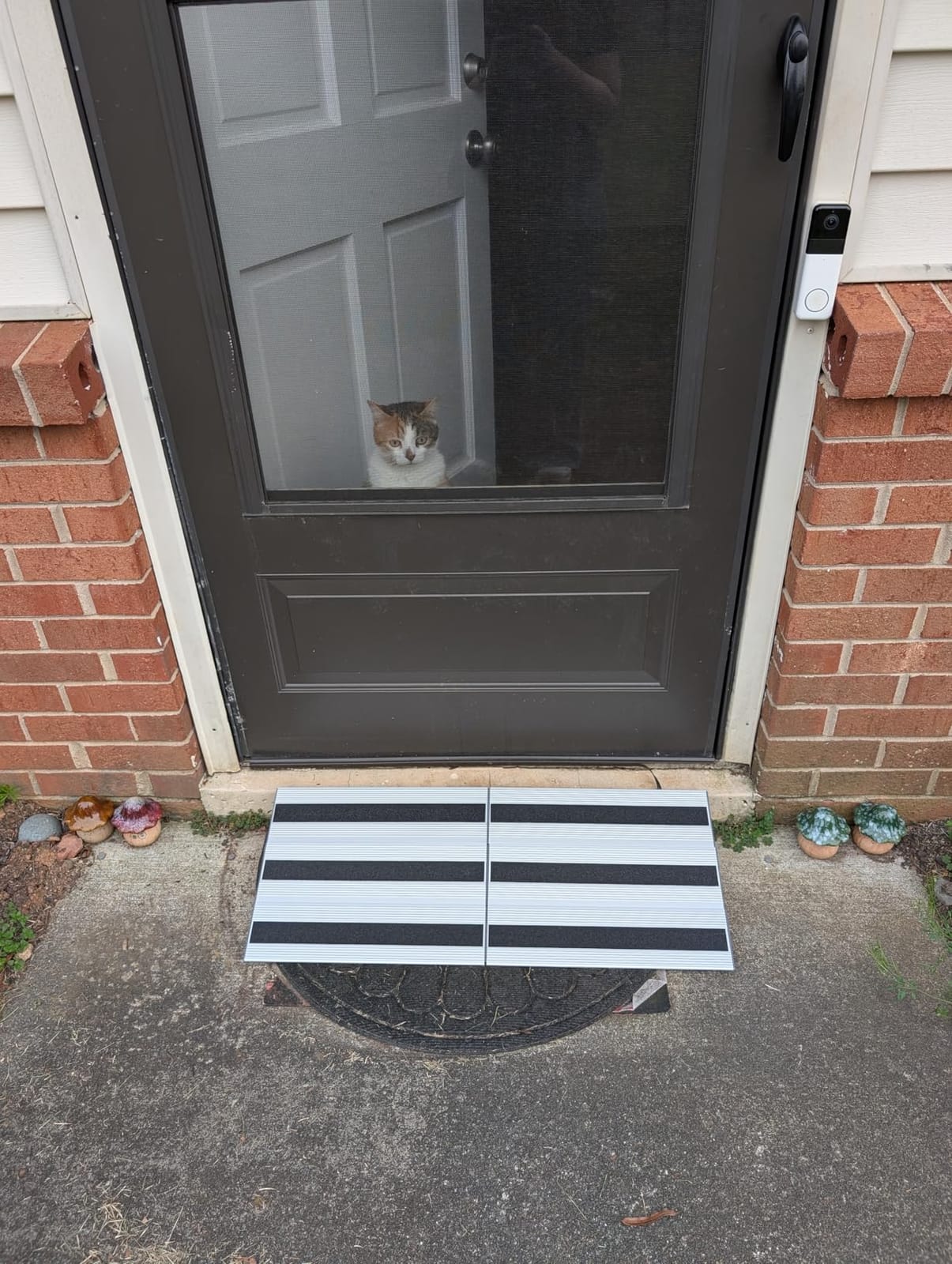 3 Inch Threshold Ramps for Doorways, Wheelchair Ramp for Home Steps | 31.5 in Wide, Modular Aluminum Panels, 1100 lb Capacity, Curb and Step Access, Scooters and Power Chairs, Indoor/Outdoor Use customer photo 1